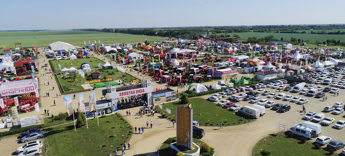 ЗОЛОТАЯ НИВА 2023